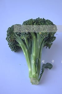 信用卡逾期是按还款日计算吗 信用卡逾期是按还款日计算吗