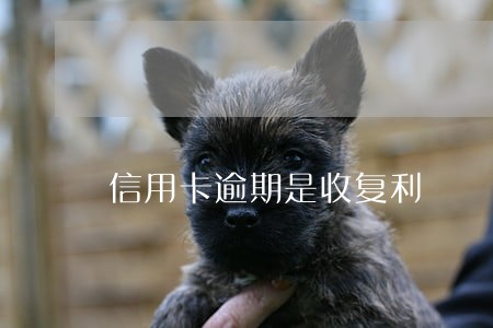 信用卡逾期是收复利 信用卡逾期是收复利
