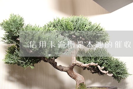 信用卡逾期是本地的催收吗 信用卡逾期是本地的催收吗