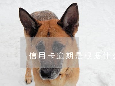 信用卡逾期是根据什么来判的 信用卡逾期是根据什么来判的