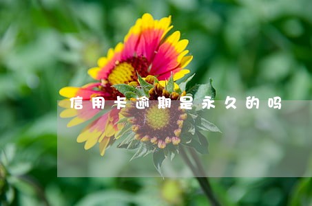信用卡逾期是永久的吗 信用卡逾期是永久的吗