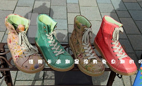 信用卡逾期是没有免息期的吗 信用卡逾期是没有免息期的吗