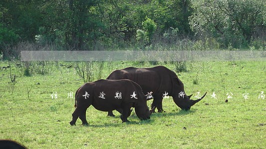 信用卡逾期是派出所还是公安局 信用卡逾期是派出所还是公安局