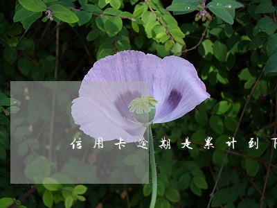 信用卡逾期是累计到下个月还款吗 信用卡逾期是累计到下个月还款吗