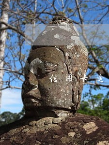 信用卡逾期是结清后恢复征信嘛 信用卡逾期是结清后恢复征信嘛