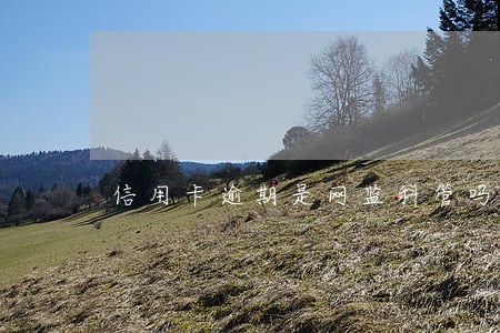 信用卡逾期是网监科管吗