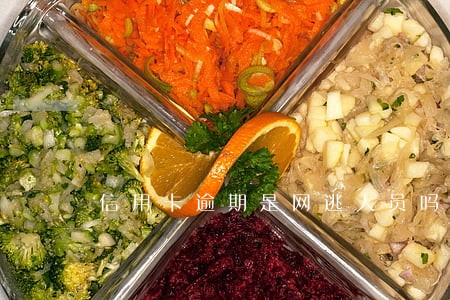 信用卡逾期是网逃人员吗