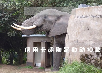信用卡逾期是自动扣款还是短信 信用卡逾期是自动扣款还是短信