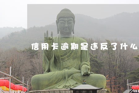 信用卡逾期是违反了什么法 信用卡逾期是违反了什么法