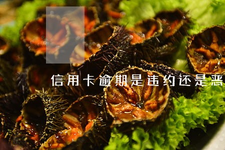 信用卡逾期是违约还是恶意透支 信用卡逾期是违约还是恶意透支