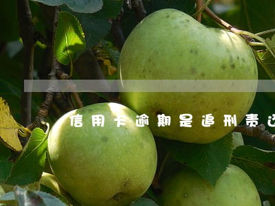 信用卡逾期是追刑责还是追民责 信用卡逾期是追刑责还是追民责