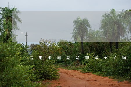 信用卡逾期是都做不了吗 信用卡逾期是都做不了吗