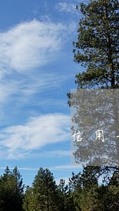 信用卡逾期是重罪 信用卡逾期是重罪