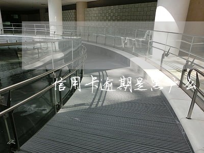 信用卡逾期是黑户么