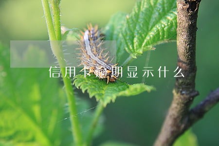 信用卡逾期显示什么 信用卡逾期显示什么