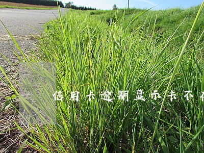 信用卡逾期显示卡不存在 信用卡逾期显示卡不存在
