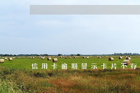 信用卡逾期显示卡片不存在