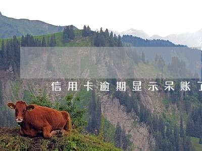 信用卡逾期显示呆账了怎么办