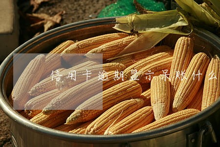 信用卡逾期显示呆账什么后果 信用卡逾期显示呆账什么后果