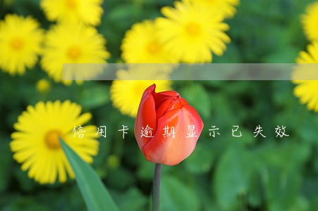 信用卡逾期显示已失效 信用卡逾期显示已失效