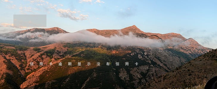 信用卡逾期显示没有信用卡 信用卡逾期显示没有信用卡