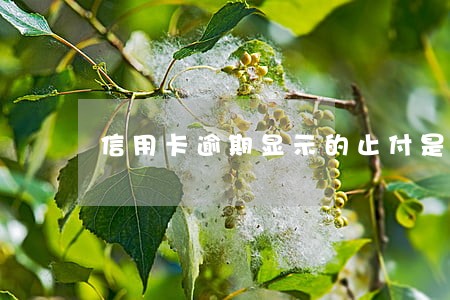 信用卡逾期显示的止付是什么意思 信用卡逾期显示的止付是什么意思