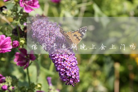 信用卡逾期晚上会上门吗