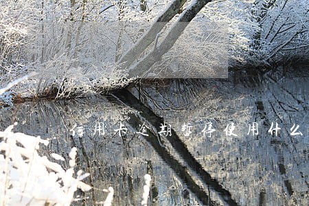 信用卡逾期暂停使用什么意思