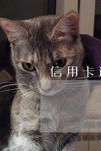 信用卡逾期暂停使用如何算利息 信用卡逾期暂停使用如何算利息