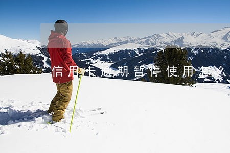 信用卡逾期暂停使用怎么处理 信用卡逾期暂停使用怎么处理