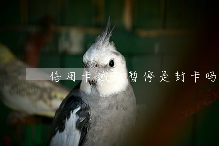 信用卡逾期暂停是封卡吗 信用卡逾期暂停是封卡吗