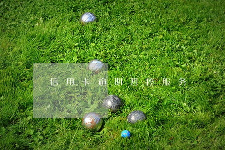 信用卡逾期暂停服务 信用卡逾期暂停服务