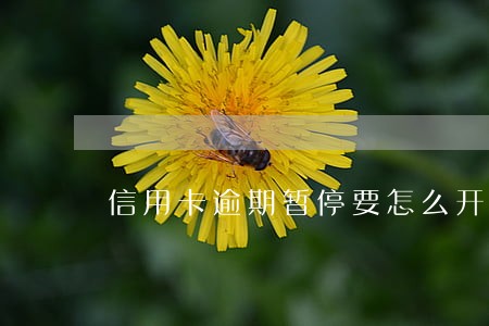 信用卡逾期暂停要怎么开通 信用卡逾期暂停要怎么开通