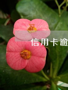 信用卡逾期暂时停卡 信用卡逾期暂时停卡
