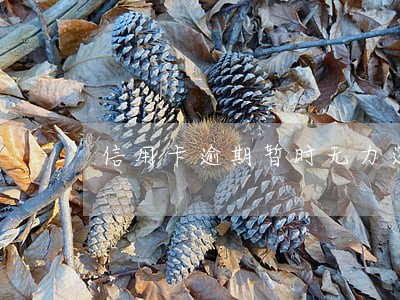 信用卡逾期暂时无力还款 信用卡逾期暂时无力还款