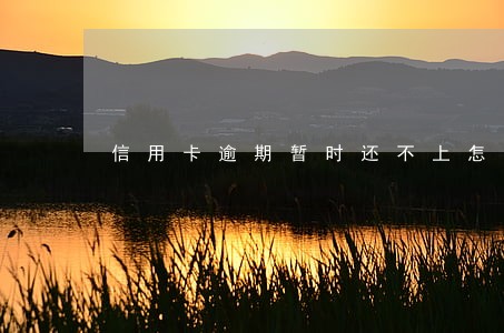 信用卡逾期暂时还不上怎么解决 信用卡逾期暂时还不上怎么解决