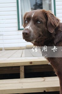 信用卡逾期暂时还不上说要报案 信用卡逾期暂时还不上说要报案