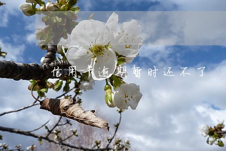 信用卡逾期暂时还不了 信用卡逾期暂时还不了