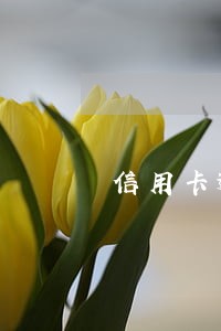 信用卡逾期暂时还不起怎么办 信用卡逾期暂时还不起怎么办