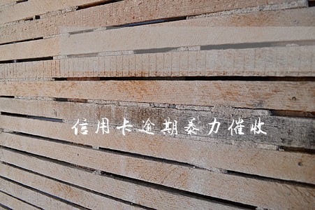 信用卡逾期暴力催收