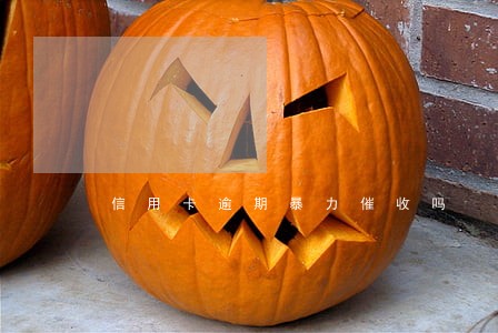 信用卡逾期暴力催收吗