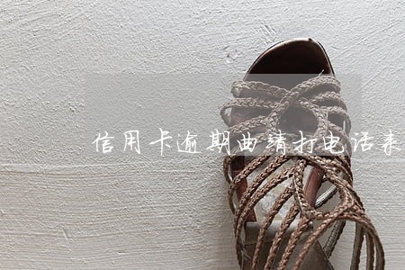 信用卡逾期曲靖打电话来说起诉 信用卡逾期曲靖打电话来说起诉