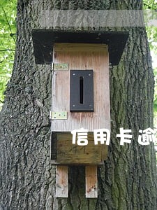 信用卡逾期更新45天