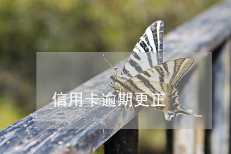 信用卡逾期更正