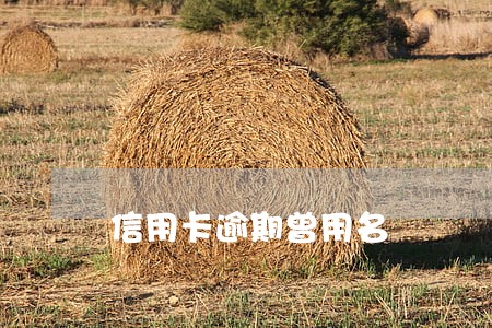 信用卡逾期曾用名