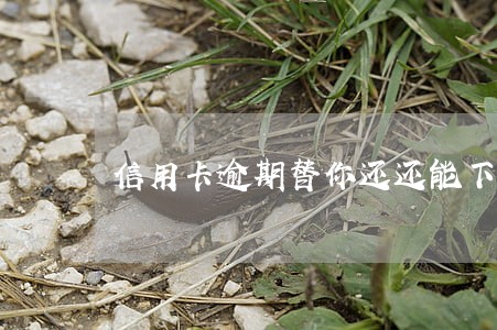 信用卡逾期替你还还能下款吗 信用卡逾期替你还还能下款吗