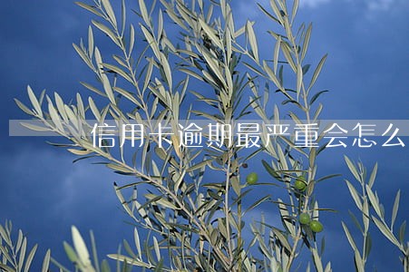 信用卡逾期最严重会怎么样 信用卡逾期最严重会怎么样