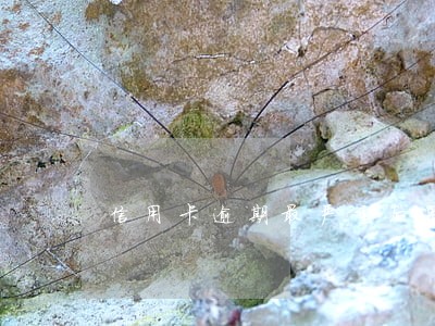 信用卡逾期最严重后果是什么