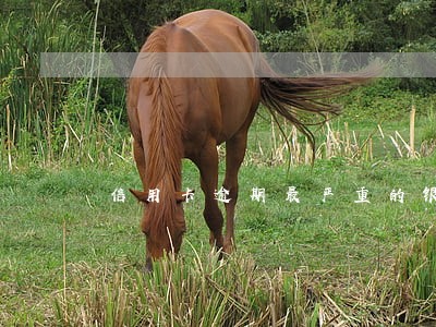 信用卡逾期最严重的银行 信用卡逾期最严重的银行