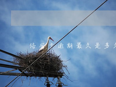 信用卡逾期最久是多久 信用卡逾期最久是多久